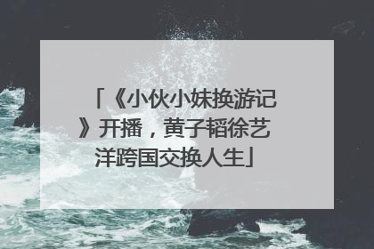 《小伙小妹换游记》开播，黄子韬徐艺洋跨国交换人生