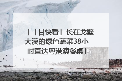 「甘快看」长在戈壁大漠的绿色蔬菜38小时直达粤港澳餐桌