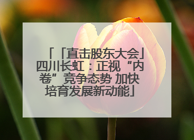 「直击股东大会」四川长虹：正视“内卷”竞争态势 加快培育发展新动能