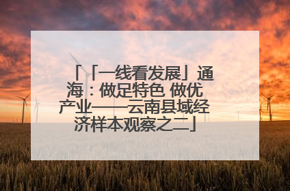 「一线看发展」通海：做足特色 做优产业——云南县域经济样本观察之二