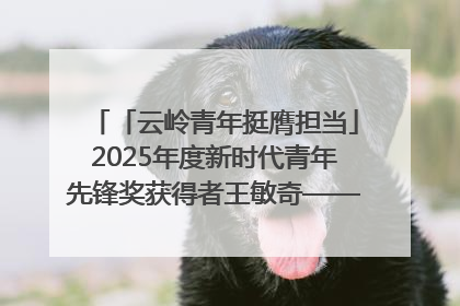 「云岭青年挺膺担当」2025年度新时代青年先锋奖获得者王敏奇——澜沧江上好渔人