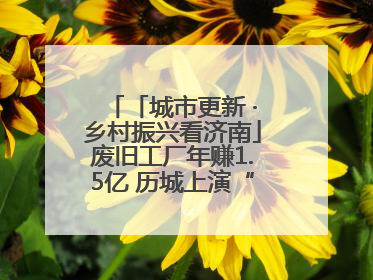 「城市更新 ·乡村振兴看济南」废旧工厂年赚1.5亿 历城上演“城市进化论”