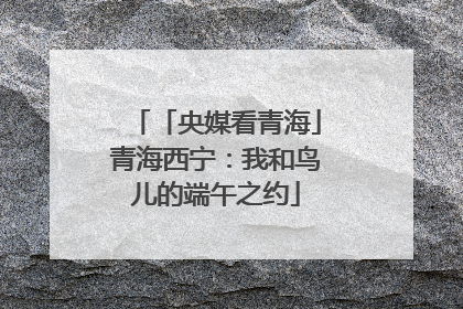 「央媒看青海」青海西宁：我和鸟儿的端午之约