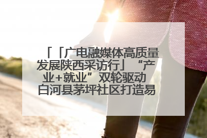 「广电融媒体高质量发展陕西采访行」“产业+就业”双轮驱动 白河县茅坪社区打造易地搬迁后扶新样本