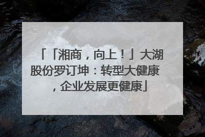 「湘商，向上！」大湖股份罗订坤：转型大健康，企业发展更健康