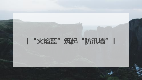 “火焰蓝”筑起“防汛墙”