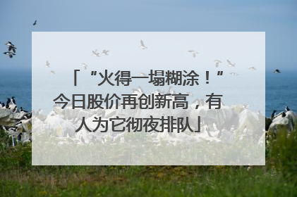 “火得一塌糊涂！”今日股价再创新高，有人为它彻夜排队