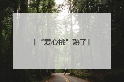 “爱心桃”熟了