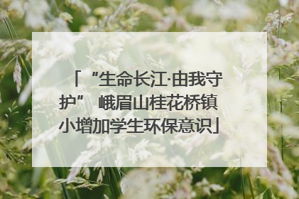“生命长江·由我守护” 峨眉山桂花桥镇小增加学生环保意识