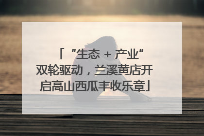 “生态 + 产业”双轮驱动，兰溪黄店开启高山西瓜丰收乐章