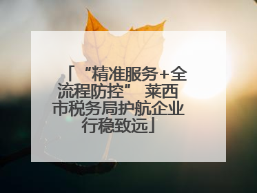 “精准服务+全流程防控” 莱西市税务局护航企业行稳致远
