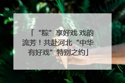 “粽”享好戏 戏韵流芳！共赴河北“中华有好戏”特别之约