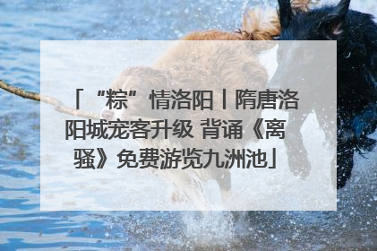 “粽”情洛阳丨隋唐洛阳城宠客升级 背诵《离骚》免费游览九洲池