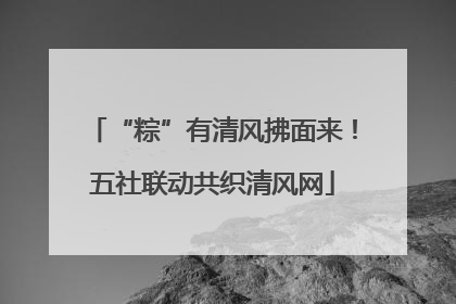 “粽”有清风拂面来！五社联动共织清风网