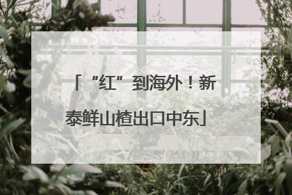 “红”到海外！新泰鲜山楂出口中东