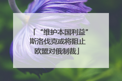 “维护本国利益” 斯洛伐克或将阻止欧盟对俄制裁