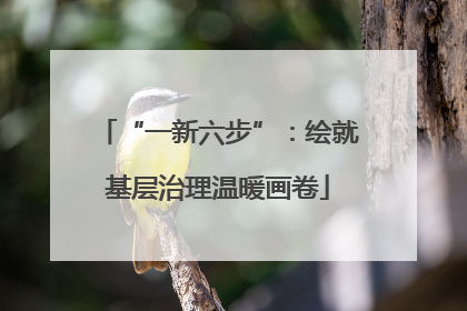 “一新六步”：绘就基层治理温暖画卷