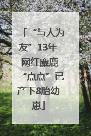 “与人为友”13年 网红麋鹿“点点”已产下8胎幼崽