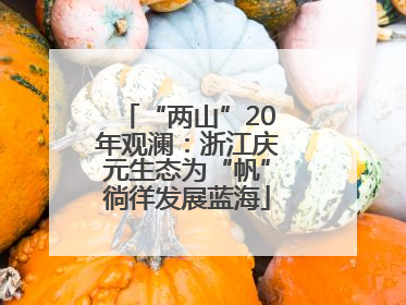 “两山”20年观澜：浙江庆元生态为“帆”徜徉发展蓝海