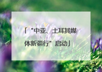 “中亚、土耳其媒体新疆行”启动