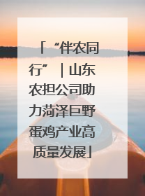 “伴农同行”｜山东农担公司助力菏泽巨野蛋鸡产业高质量发展