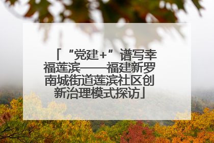 “党建+”谱写幸福莲滨——福建新罗南城街道莲滨社区创新治理模式探访