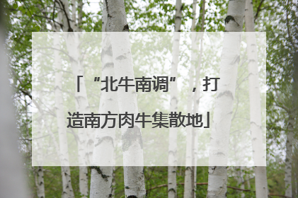 “北牛南调”，打造南方肉牛集散地