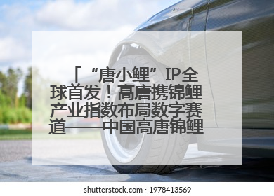 “唐小鲤”IP全球首发！高唐携锦鲤产业指数布局数字赛道——中国高唐锦鲤产业指数暨“唐小鲤”IP全球首发仪式在杭州举行