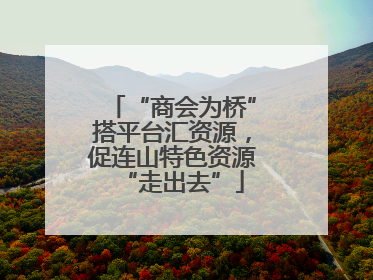 “商会为桥”搭平台汇资源，促连山特色资源“走出去”