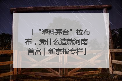“塑料茅台”拉布布，凭什么造就河南首富｜新京报专栏