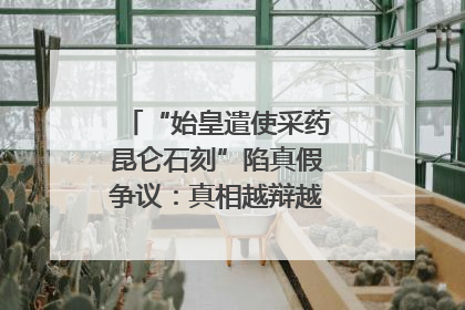 “始皇遣使采药昆仑石刻”陷真假争议：真相越辩越明｜新京报专栏