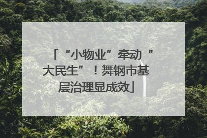 “小物业”牵动“大民生”！舞钢市基层治理显成效