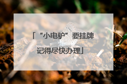 “小电驴”要挂牌 记得尽快办理