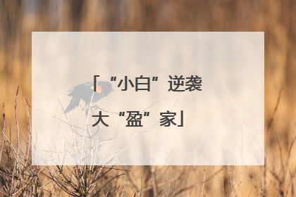 “小白”逆袭大“盈”家
