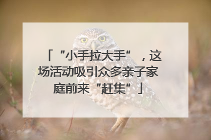 “小手拉大手”，这场活动吸引众多亲子家庭前来“赶集”