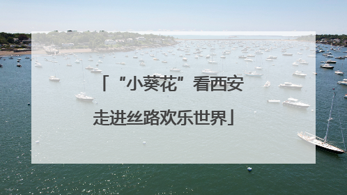 “小葵花”看西安走进丝路欢乐世界