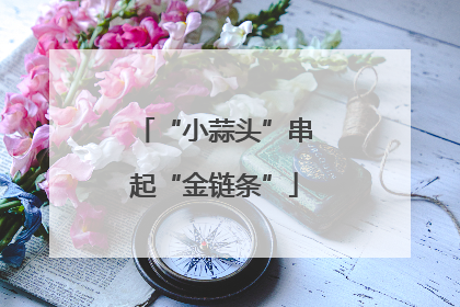 “小蒜头”串起“金链条”