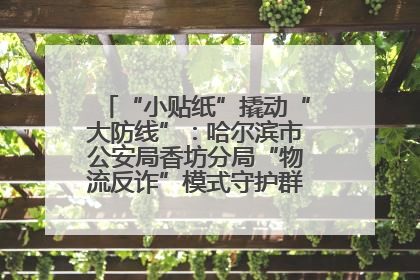 “小贴纸”撬动“大防线”：哈尔滨市公安局香坊分局“物流反诈”模式守护群众“钱袋子”