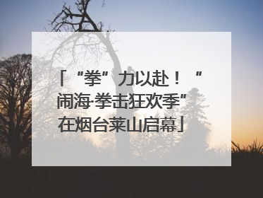 “拳”力以赴！“闹海·拳击狂欢季”在烟台莱山启幕