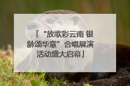 “放歌彩云南 银龄颂华章”合唱展演活动盛大启幕