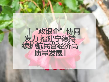 “政银企”协同发力 福建宁德持续护航民营经济高质量发展