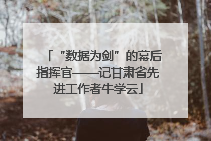 “数据为剑”的幕后指挥官——记甘肃省先进工作者牛学云