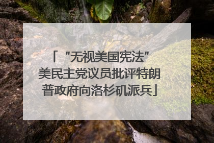 “无视美国宪法” 美民主党议员批评特朗普政府向洛杉矶派兵