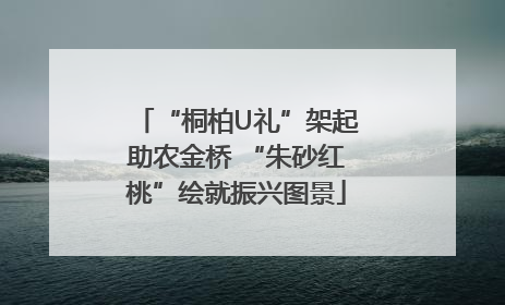 “桐柏U礼”架起助农金桥 “朱砂红桃”绘就振兴图景