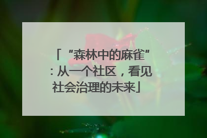 “森林中的麻雀”：从一个社区，看见社会治理的未来