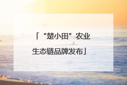 “楚小田”农业生态链品牌发布