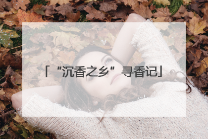 “沉香之乡”寻香记