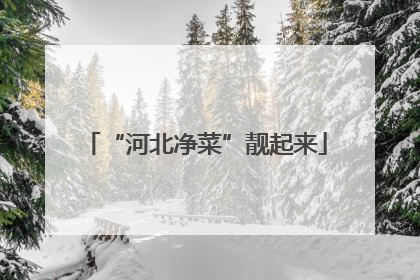 “河北净菜”靓起来