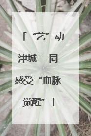 “艺”动津城 一同感受“血脉觉醒”
