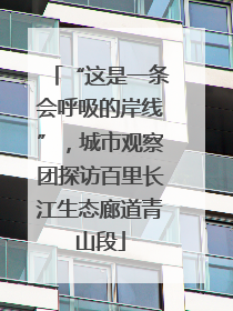 “这是一条会呼吸的岸线”，城市观察团探访百里长江生态廊道青山段